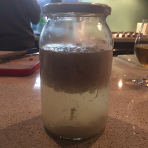 The separated goats milk after the kefir grains have been in for a couple days.