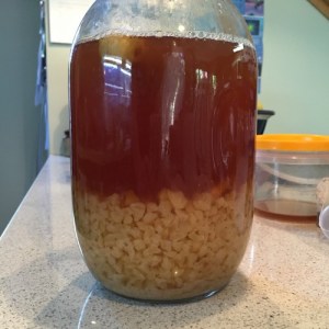 The kefir happily brewing away. 