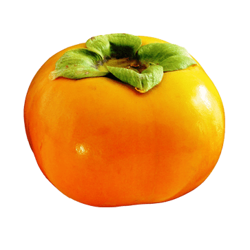 persimmon_PNG9191