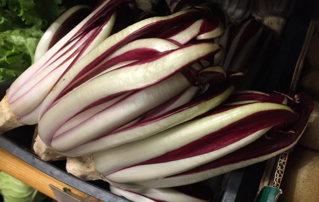 Raddicchio di Tardiva