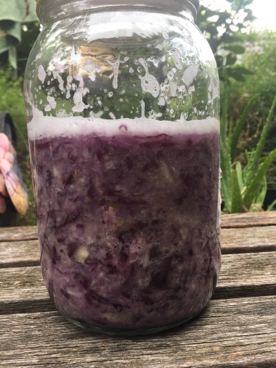 The end result of 1 1/4 kg of cabbage being grated and pummelled.