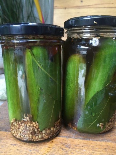 Freshly packed and still bright green. 