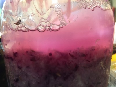 A couple of days after making it, it's bubbling away nicely. The red cabbage will give it a lovely pink colour.