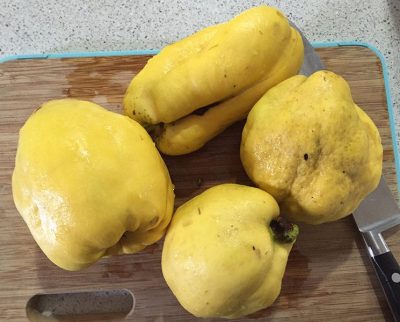 Quinces come in all shapes. 